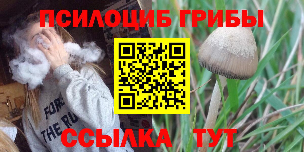 Дедовск  МЕФ  COCAIN  Каннабис  MDMA  Вход с VPN  Меф   Марихуана 