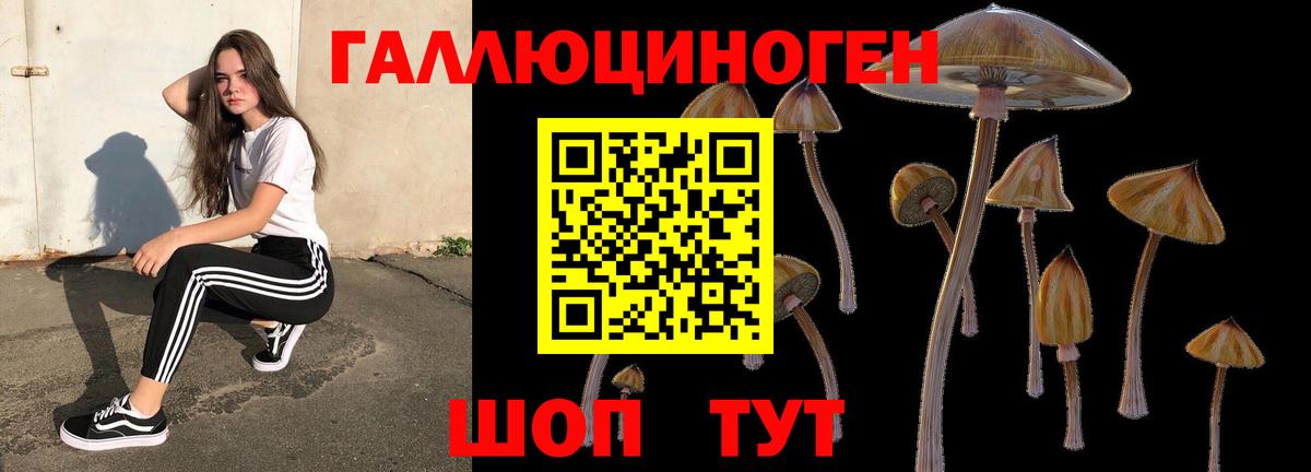 Дедовск  Галлюциногенные грибы MAGIC MUSHROOMS  Вход с VPN 